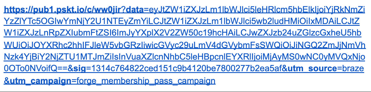 ランダムに生成された文字と数字からなる長い文字列を含む出力 URL。